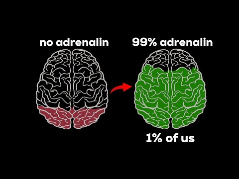 8 Ways To Boost Your Adrenaline The Psychology Of Energy