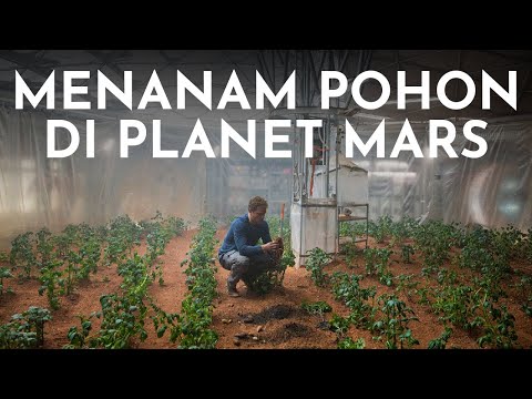 Video: Apakah ada vegetasi di mars?