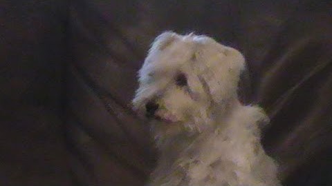 Bridgeport CNC Retrofit Part 3