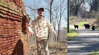 I Thought A Bear Was Chasing Me