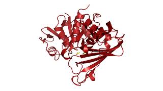 Solved structure of GAPDH from C. jejuni