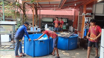 อุ้ม ประชาอุทิศ - งานสลับที่ตู้ปลาภายในบ้านพร้อมเพิ่มเติมตู้ใหม่เชื่อมระบบ Overflow รวม 5 ใบ set 2