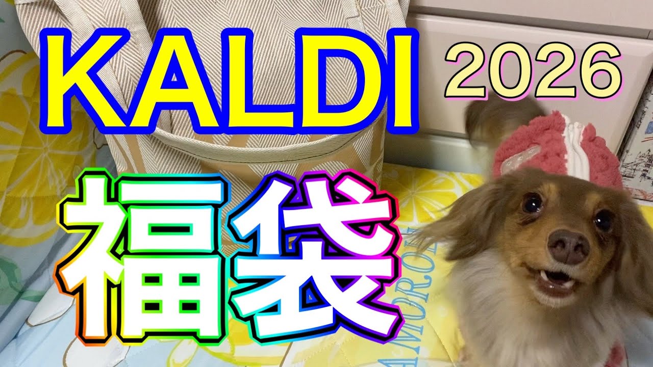 カルディ食品福袋当選しました！チワックスれあ