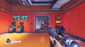 Ana Overwatch Communication Wheel PTR