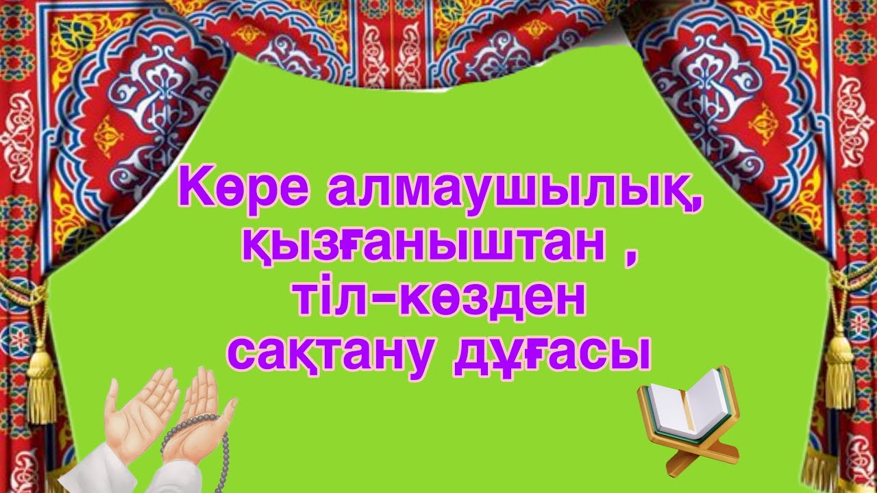 Ұзын мүшесі кончалары