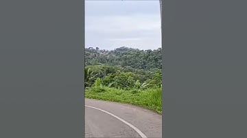 Bikin takjub‼️Suasana pedesaan yang adem bikin betah #suasanayangindah #shortvideo #wisata