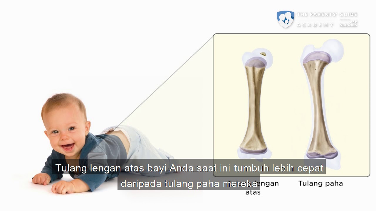 Perkembangan Tulang Bayi Usia 4-6 Bulan