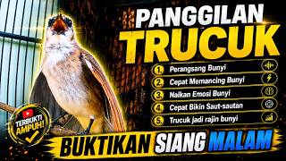 TOP TERAPi !! TRUCUKAN GACOR MEMANGGIL || pancingan, masteran terbaik untuk trucuk dan burung lainya