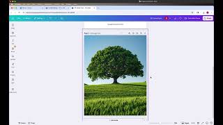How to Set Up Bleed, Trim, and CMYK in Canva for Greenerprinter