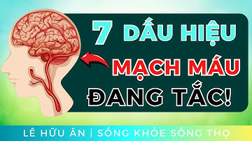 7 Dấu Hiệu Cảnh Báo MẠCH MÁU ĐANG TẮC – Đừng Để Đến Khi Quá Muộn!