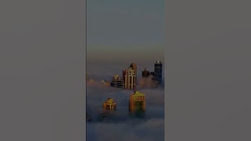 الله الذي خلق السماوات والأرض /القارئ :عبدالرحمن مسعد