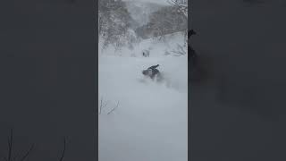 so this was my first time in powder after climbing for an hour to the summit … thanks Japan