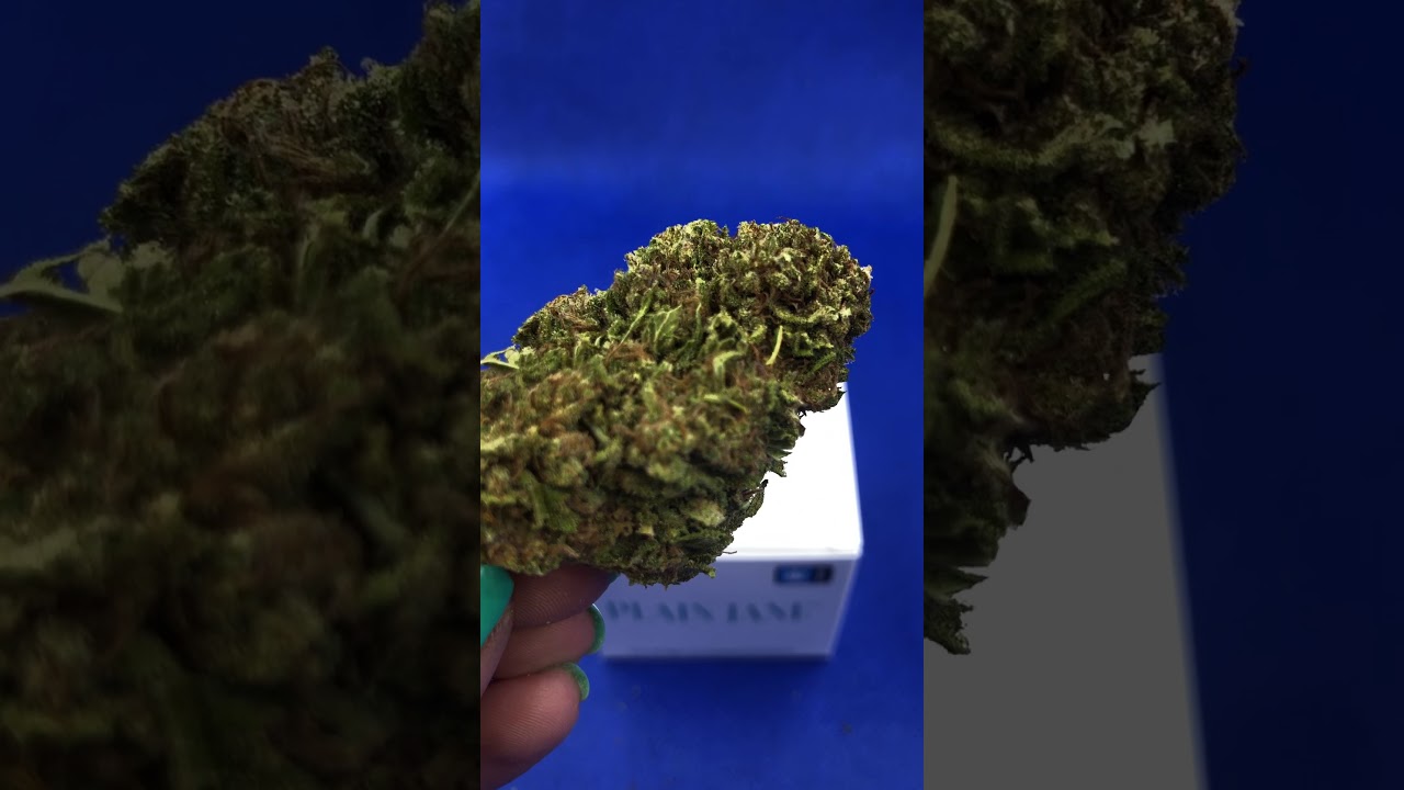 Kush CBD Hemp Flower