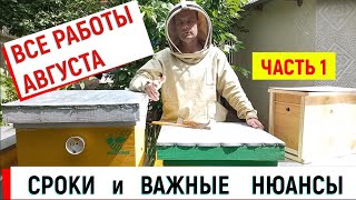 Все Работы Августа Сроки И Важные Нюансы