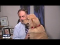 'Brody' the dog interrupts Paul Dellegatto's weathercast