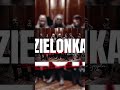 Do zobaczenia 31.08.2025 w Zielonce k. Warszawy🔥 #orkiestradorosłychdzieci #koncert #rock #zielonka
