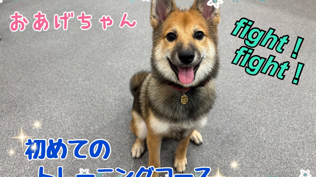 Oage-chan's first 🏋️‍♀️training course🏋️‍♀️ - YouTube