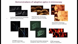 Famous ALPAO Webinar: Adaptive Optics in microscopy benefits and trends Profile