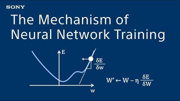 The Mechanism of Neural Network Training - Introduction to Deep Learning