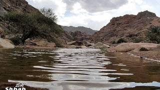 فهد عبدالمحسن - مثل الذهب