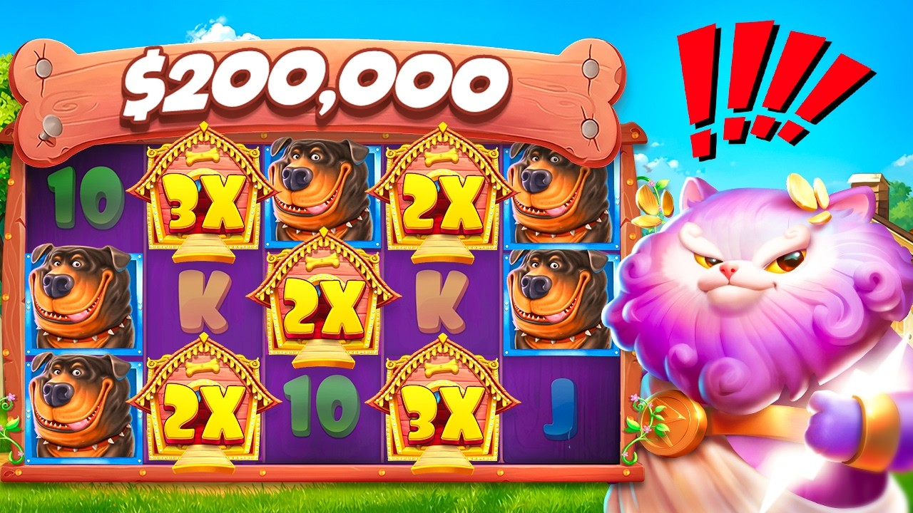 Zoome casino bonus