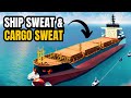 SHIP SWEAT, CARGO SWEAT & VENTILATION | Bulk carrier ships | Life at sea #mariners #merchantnavy