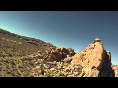 Joshua Tree.mov