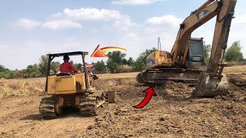 The Most Skilled Dozer Operator Breaks Down a Lot of Huge Trees Easily Using CAT D6R XL Bulldozer