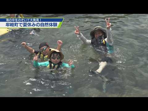 子どもたちが牟岐の海を満喫！【テレビトクシマ】