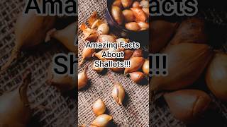 5 Amazing Facts About Shallots You Didn’t Know! #shallots #vegetablefacts #antioxidants