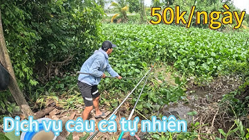 Điểm câu dịch vụ tự nhiên ở cồn khương, bãi câu siêu đẹp ẩn chứa nhiều cá bự