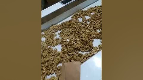 the video of Angelon nuts color sorter sorting walnuts in customer