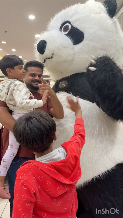 💥 soan papdi dha🐼🐼 #shortsfeed #panda #funnyshorts #comedy #babylove #coustome #viral