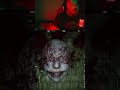 Nope! Get me out of here #silenthill #silenthillf #horrorgames #Halloween #LateNight #horrorgaming