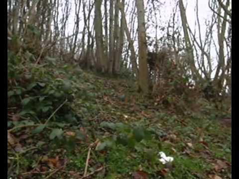 Cromer Woods MTB Trek Training Session - 20.02.2011