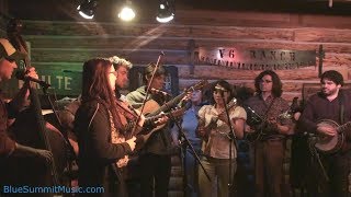 AJ Lee & Blue Summit, and Friends - "I'll Break Out Again Tonight" by Sully Tuttle chords