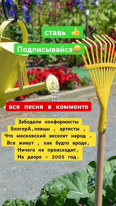 Про ТУРБОПАТРИОТОВ . Песня ДАЧНИКА -6. - YouTube