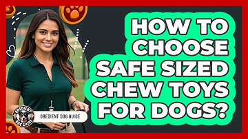 How To Choose Safe Sized Chew Toys For Dogs?