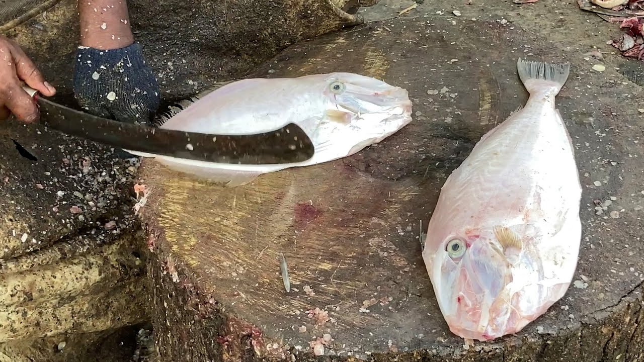 160 Rs Per Kg, Leather Jacket Fish Cutting& Chopping in Kasimedu Fish ...