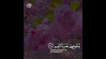إِنَّ الْأَبْرَارَ لَفِي نَعِيمٍ عَلَى الْأَرَائِكِ يَنظُرُونَ - القارئ أحمد خضر 🌿💚