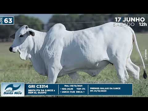 LOTE 63   GRI C3314