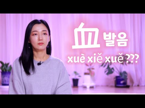 중국어 사전에 안 나오는 발음을 더 자주 쓴다고 중국어 血 발음 Xuè Xiě Xuě Feat 헷갈리는 한국어 든지 Vs 던지 