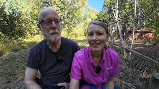 We climb the fire tower! -- Uwharrie National Forest 10-13-2024