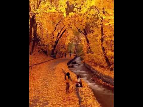 طبیعتی زیبا از فصل پاییز