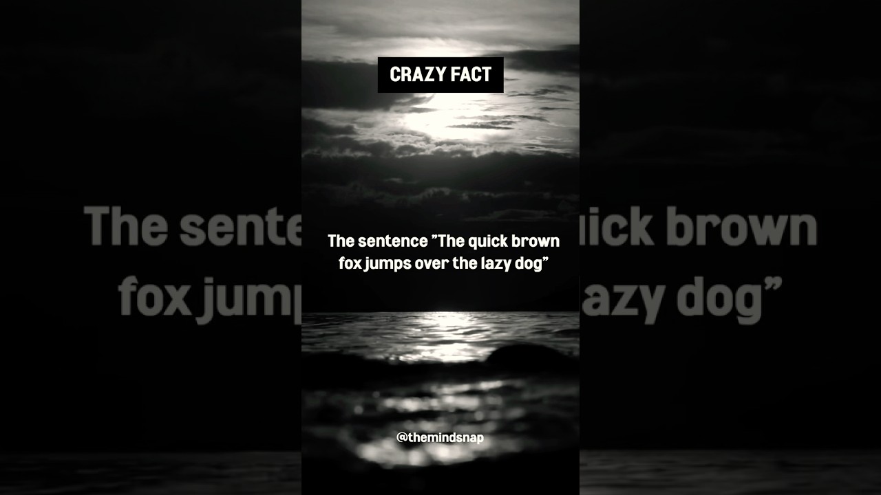 The Pangram Puzzle 🧩 