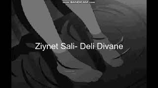 Ziynet Sali-Deli Divane (Slowed+reverb) Resimi