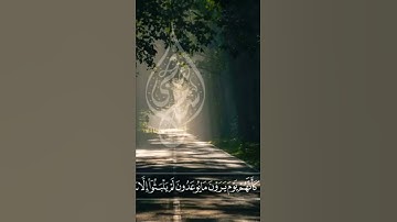 فَاصْبِرْ كَمَا صَبَرَ أُولُو الْعَزْمِ مِنَ الرُّسُلِ | اسلام صبحي | حالات واتس من سورة الأحقاف