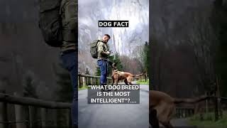 DOG FACTS YOU MIGHT NOT KNOW #dogfacts #dogs #doglover #belgianmalinois #viral