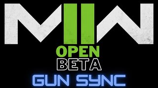 The First MW2 Beta Sync