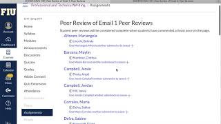 Assigning Peer Reviews for Instructors